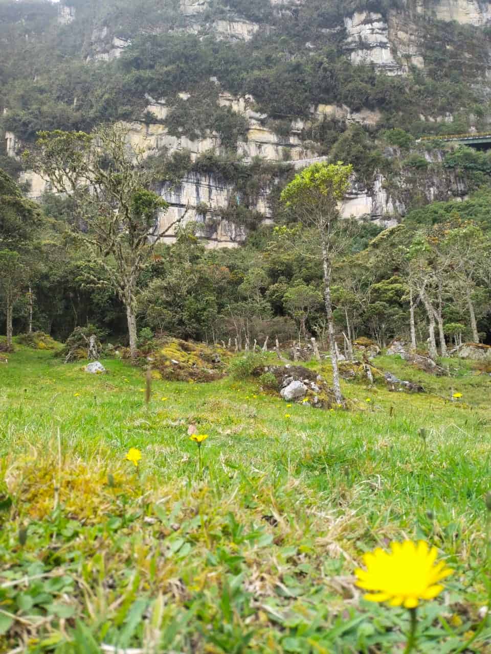 Ruta en el muro